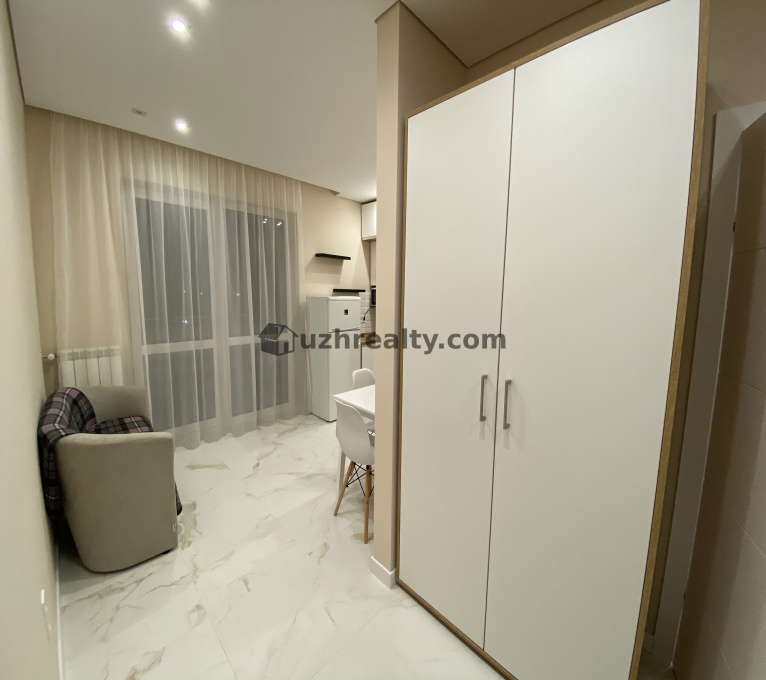 Продаж 1 Спальня 1 Ванна Квартира Продаж ЖК Графит Новый, Ужгород