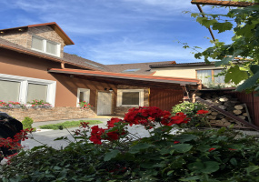 Здається в оренду 3 Спальні 2 Ванні кімнати Будинок Здається в оренду Собранецька Собранецька, Центр, Ужгород