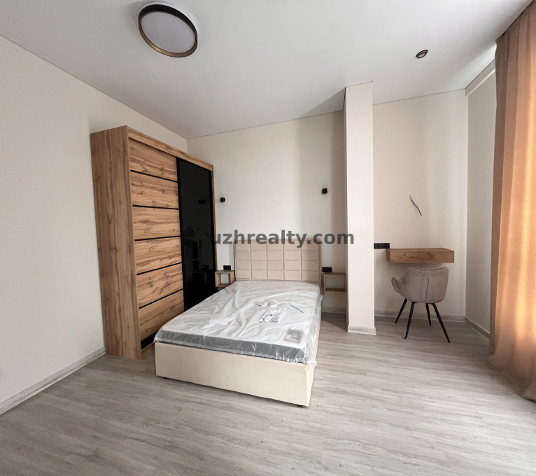 Продаж 1 Спальня 1 Ванна Квартира Продаж Сечені 8 Сечені, Центр, Ужгород