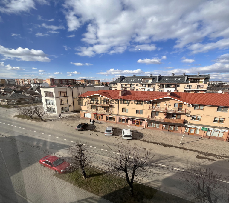 Продаж 1 Спальня 1 Ванна Квартира Продаж Графіт М. Заньковецької М. Заньковецької, Новий, Ужгород