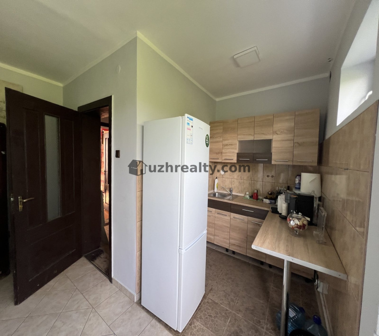 Продаж 5 Спальні 2 Ванні кімнати Будинок Продаж Тичини Тичини, Минай, Ужгородський район