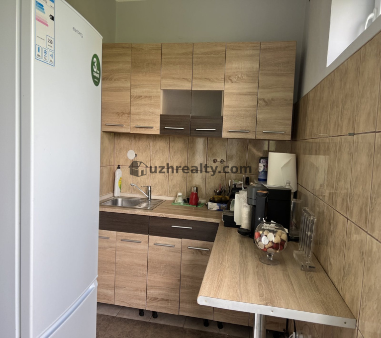 Продаж 5 Спальні 2 Ванні кімнати Будинок Продаж Тичини Тичини, Минай, Ужгородський район