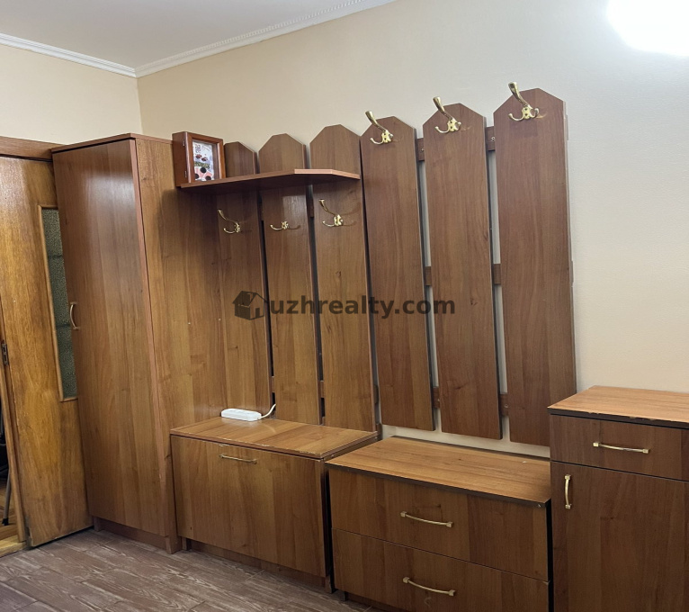 Продаж 1 Спальня 2 Ванні кімнати Квартира Продаж Шумна Шумна, Центр, Ужгород