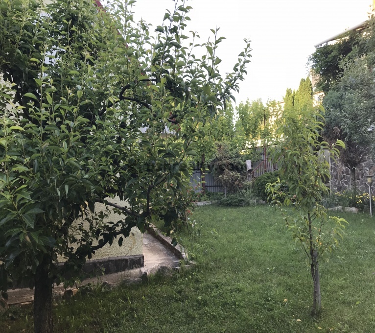 Продажа 6 Комнат 2 Ванные Дом Продажа Центр, Ужгород